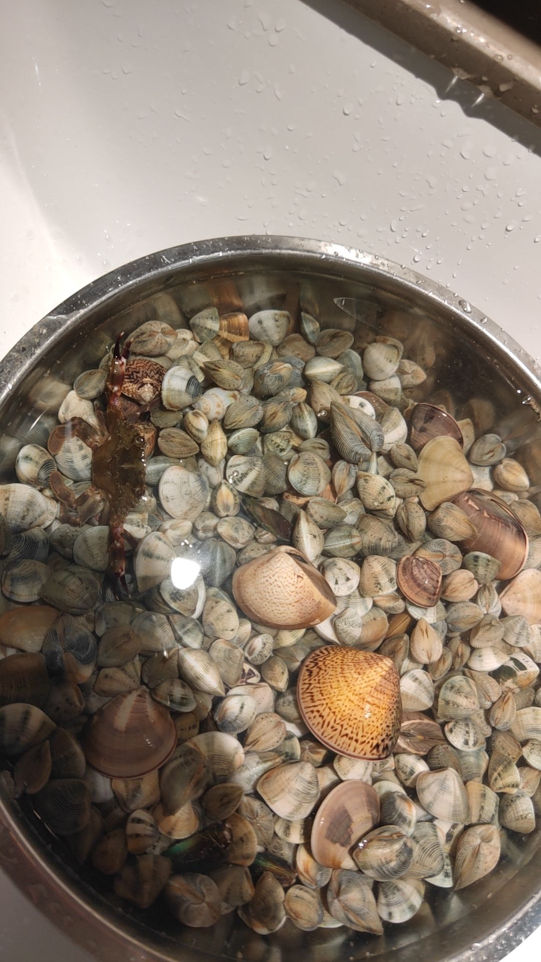 福湖海滩旅行图片 1
