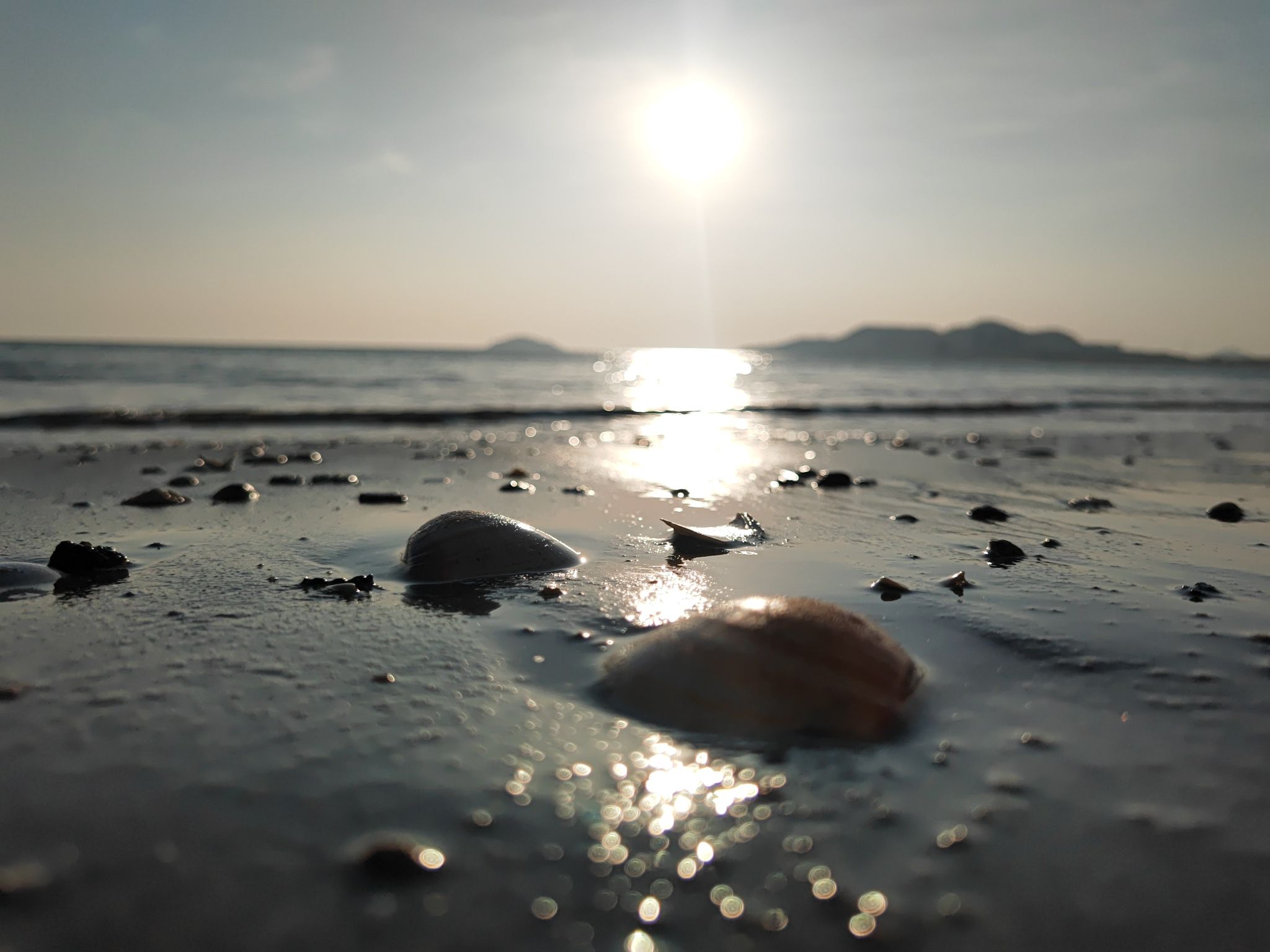 福湖海滩旅行图片 3