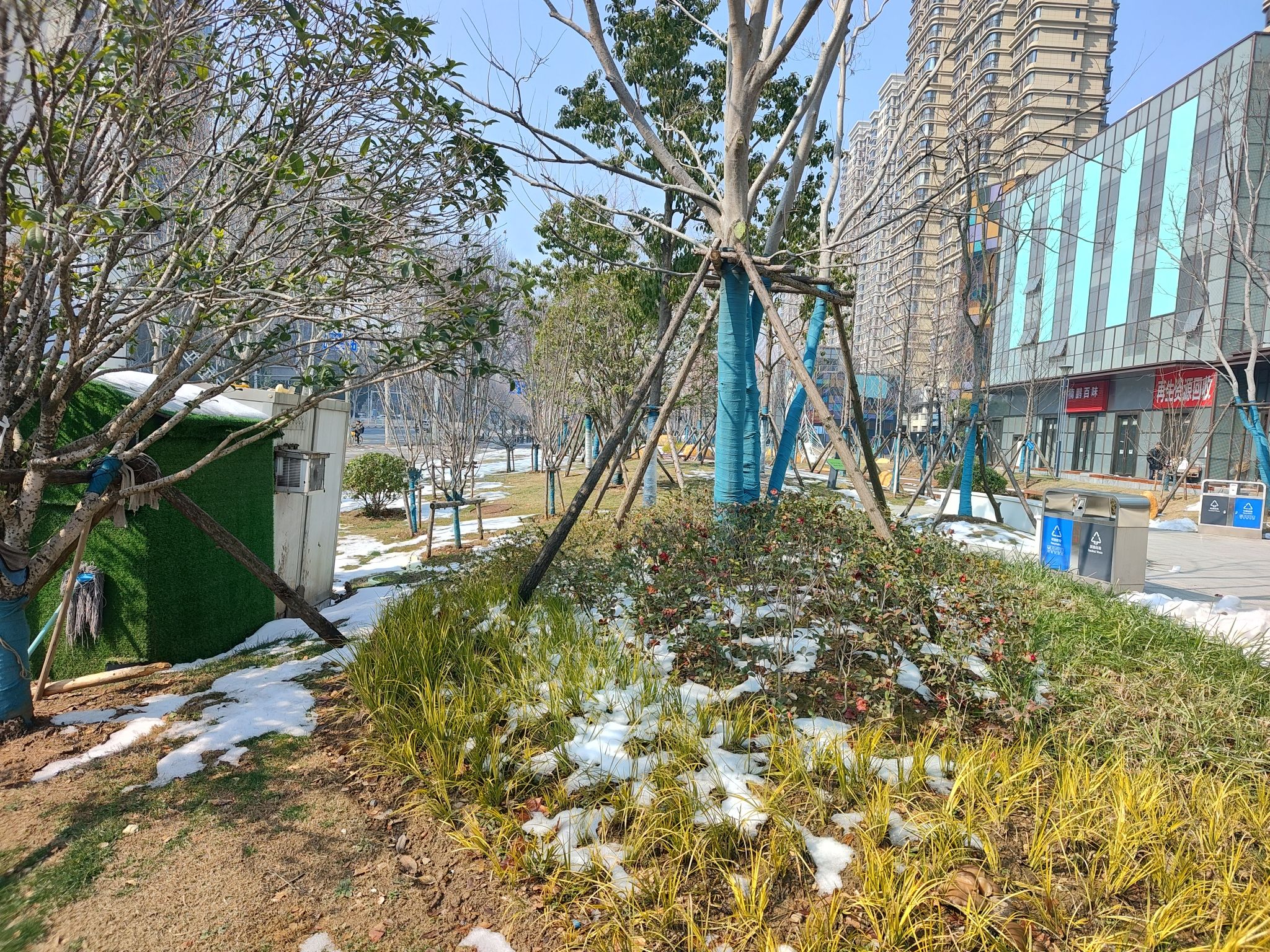 拾叶公园旅行图片 1