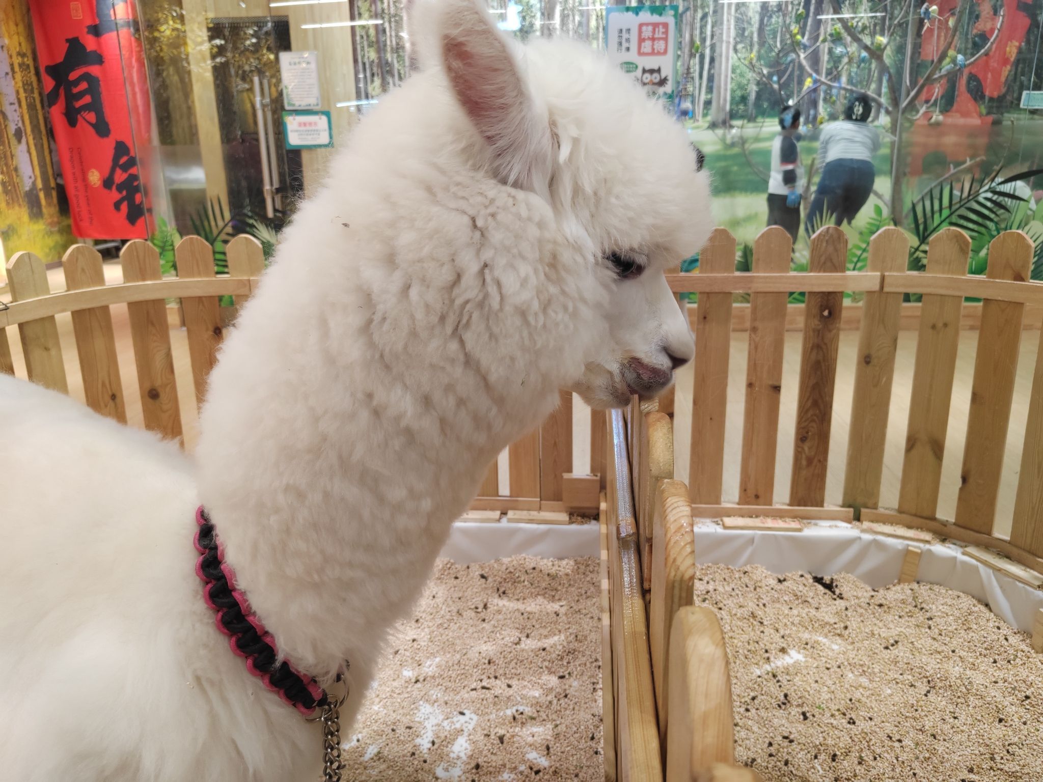 小象动物公园(秦皇岛万达广场店)