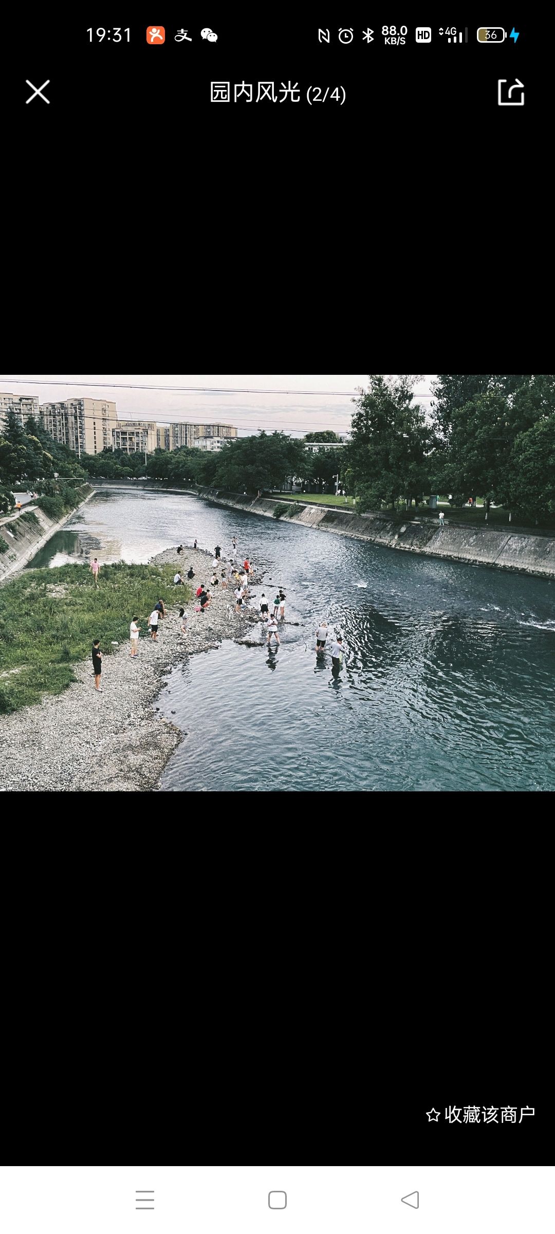 江安河公园旅行图片 2