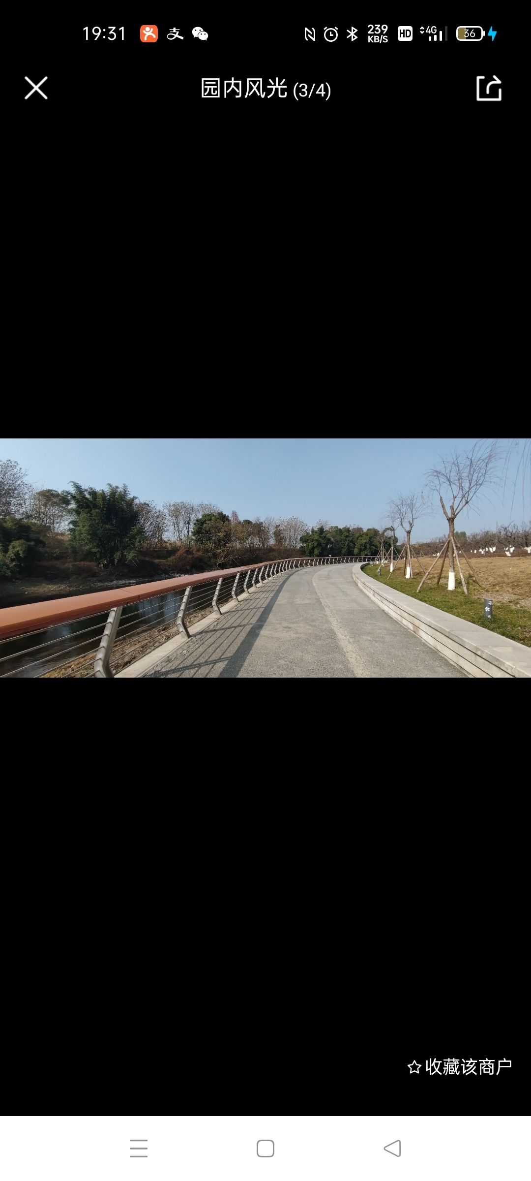 江安河公园旅行图片 3