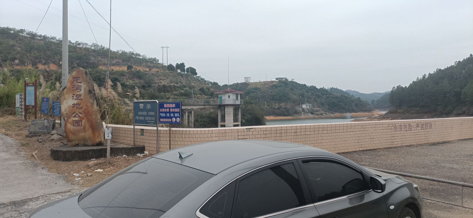 高州市沙田镇龙湾湿地公园旅行图片 1