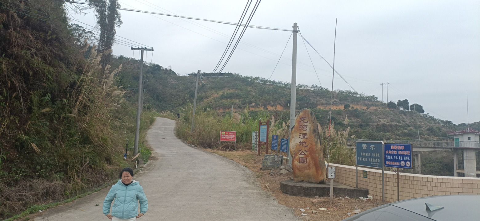 高州市沙田镇龙湾湿地公园旅行图片 3