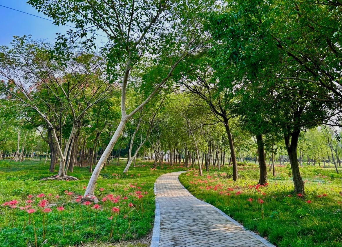 梁塘河湿地公园旅行图片 3