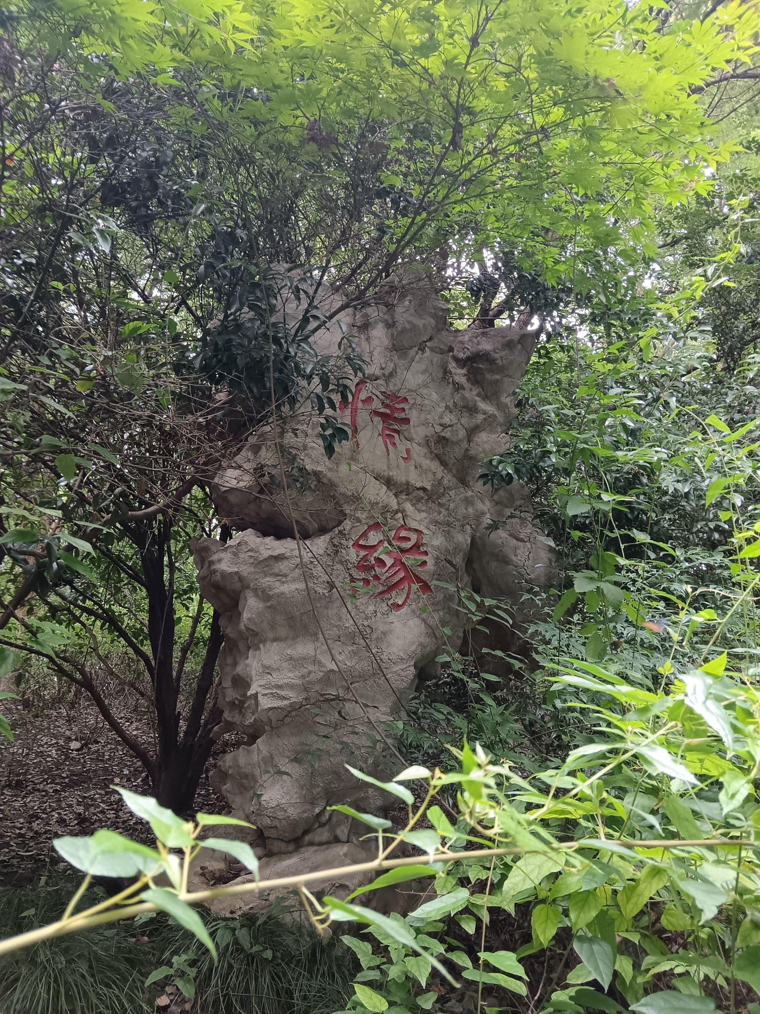 梁塘河湿地公园旅行图片 2