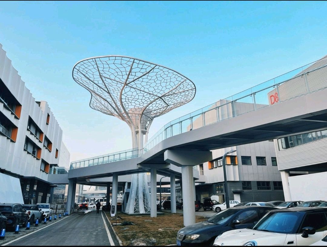 桥西汽车园