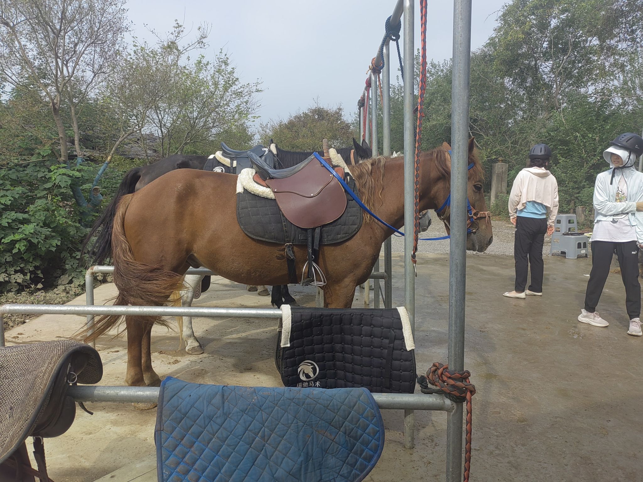 场地封面-南京瑞驰马术俱乐部