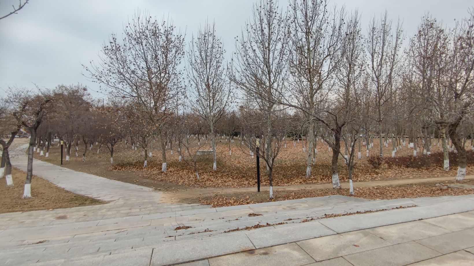 健康主题公园旅行图片 2