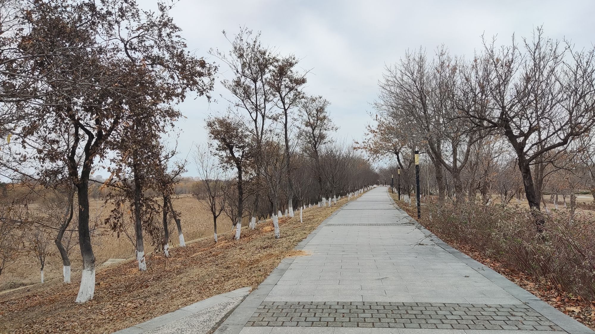 健康主题公园旅行图片 3