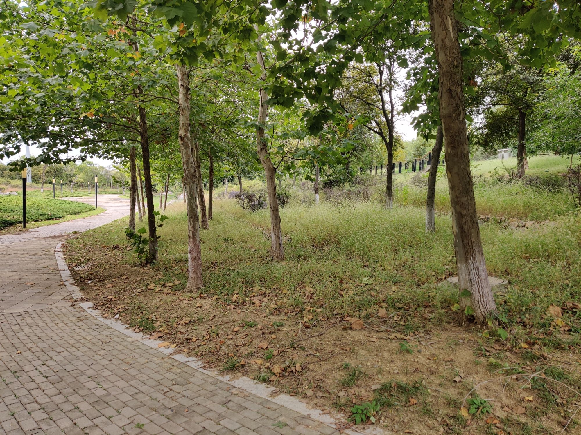 健康主题公园旅行图片 3