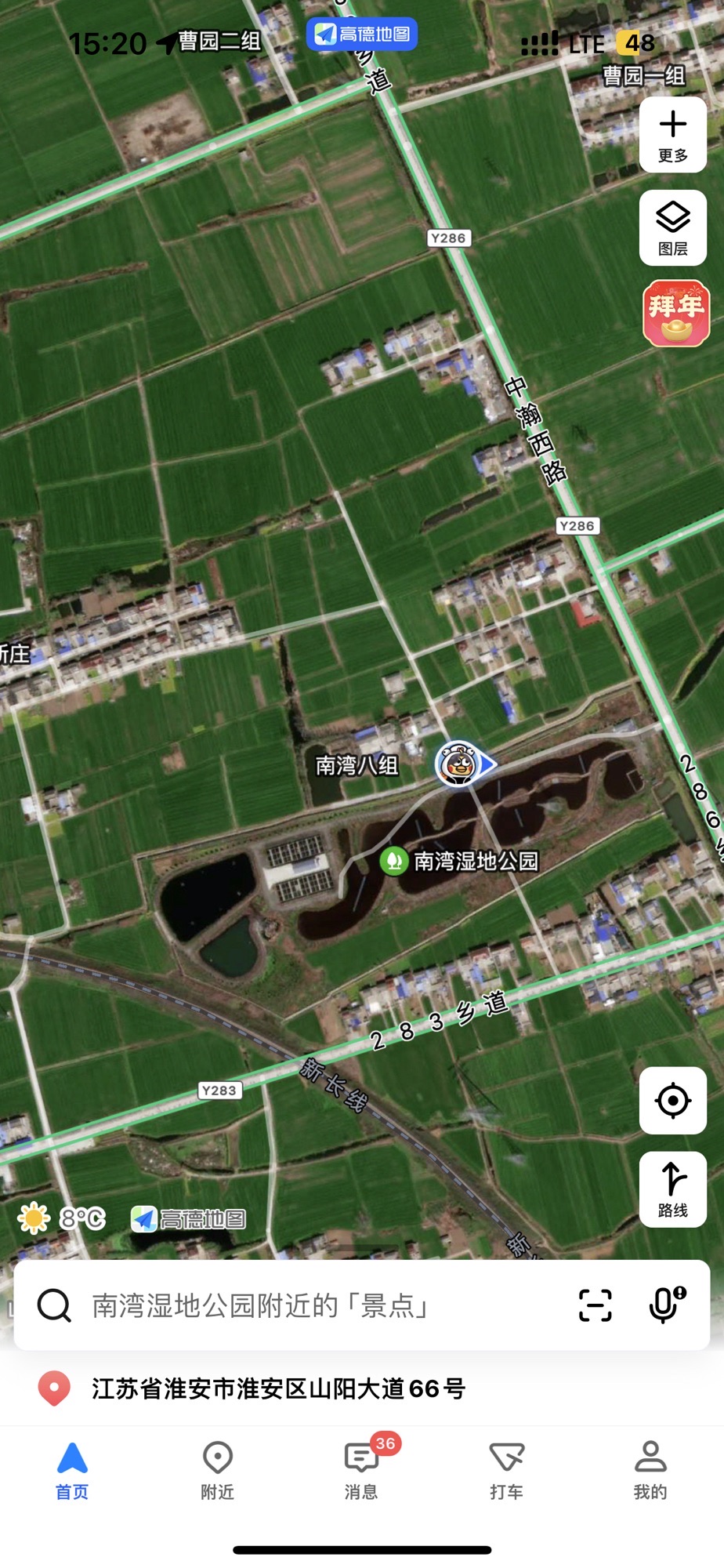 南湾湿地公园旅行图片 1