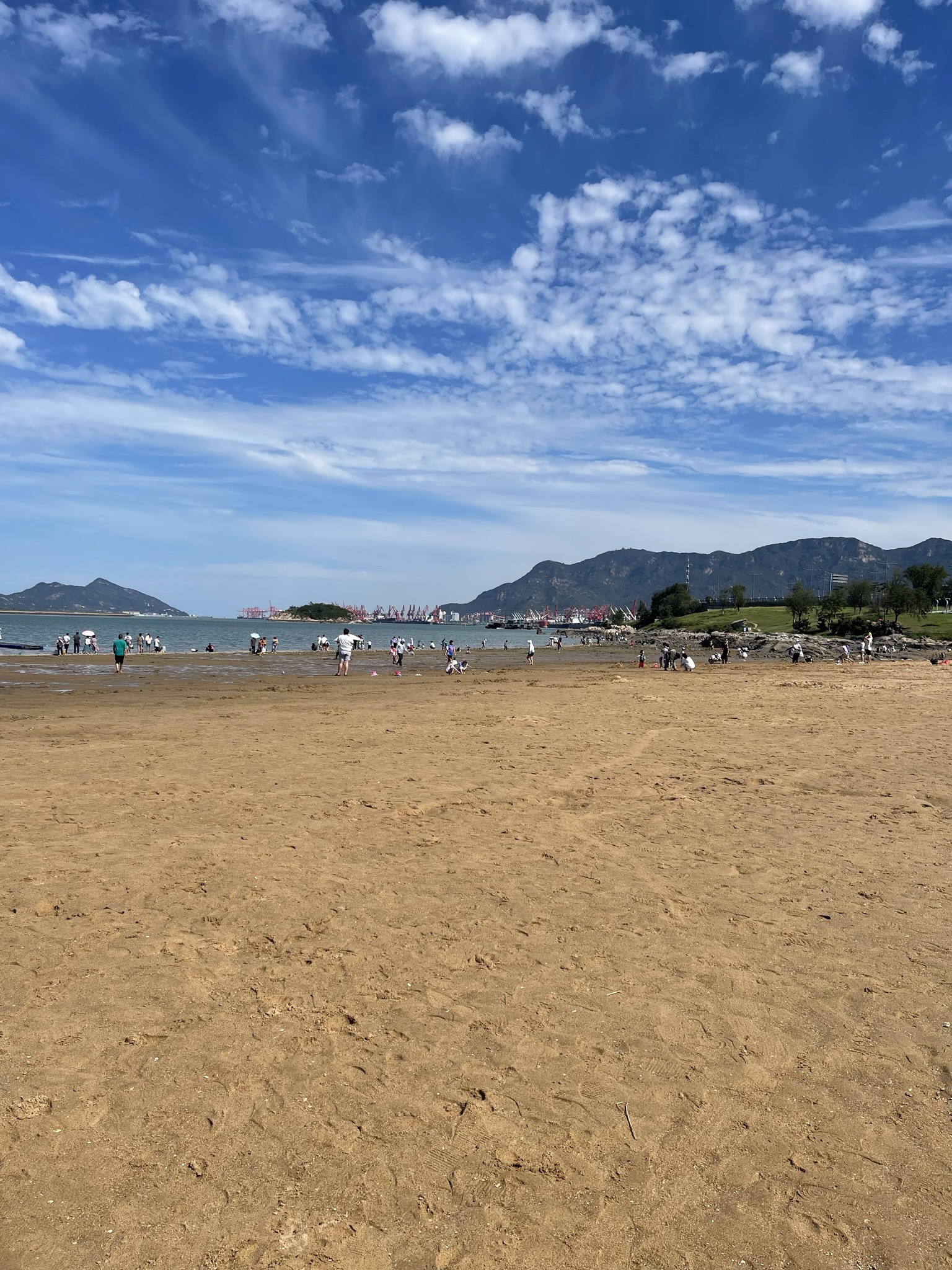 南湾湿地公园旅行图片 1