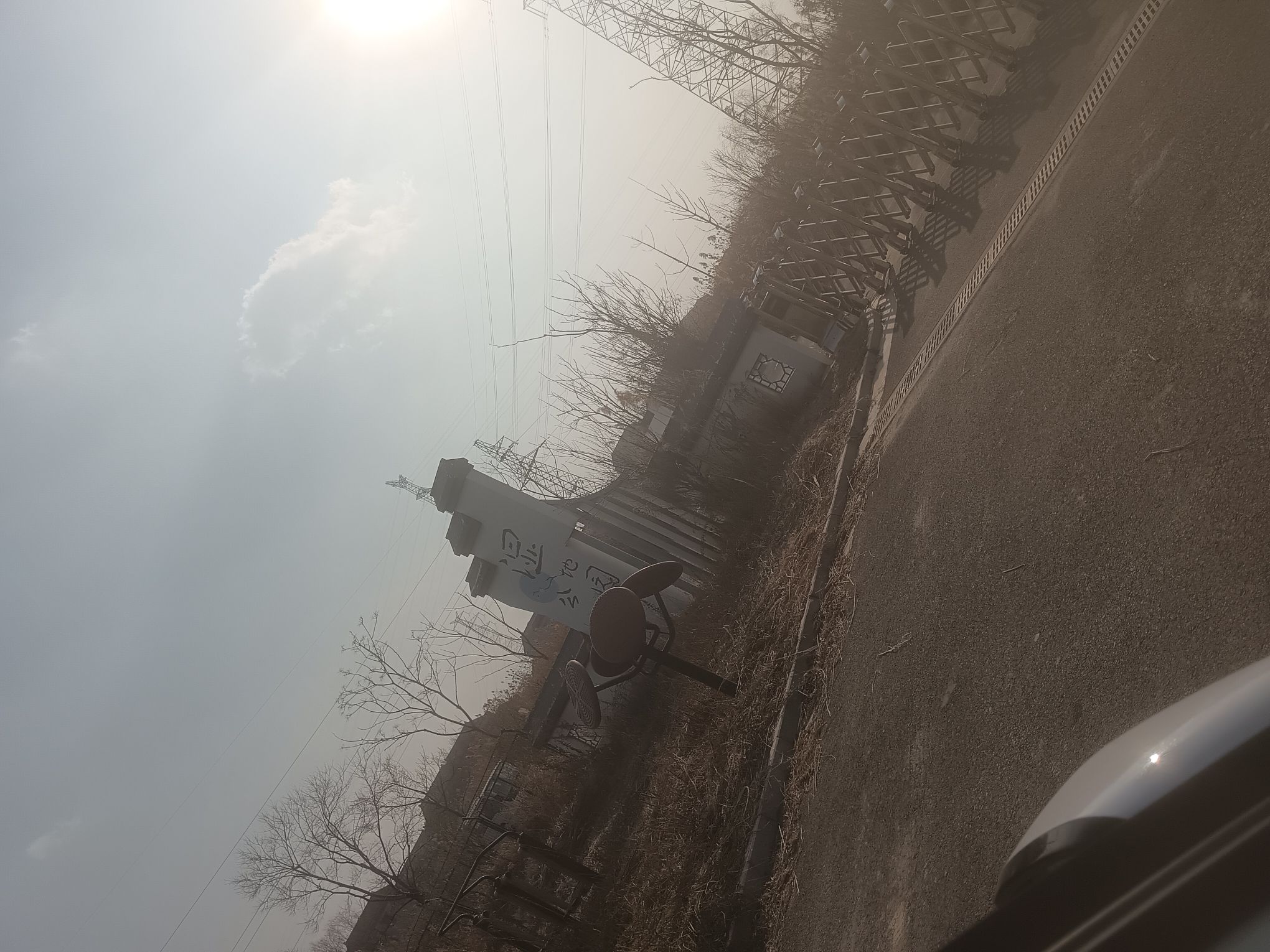 南湾湿地公园旅行图片 1