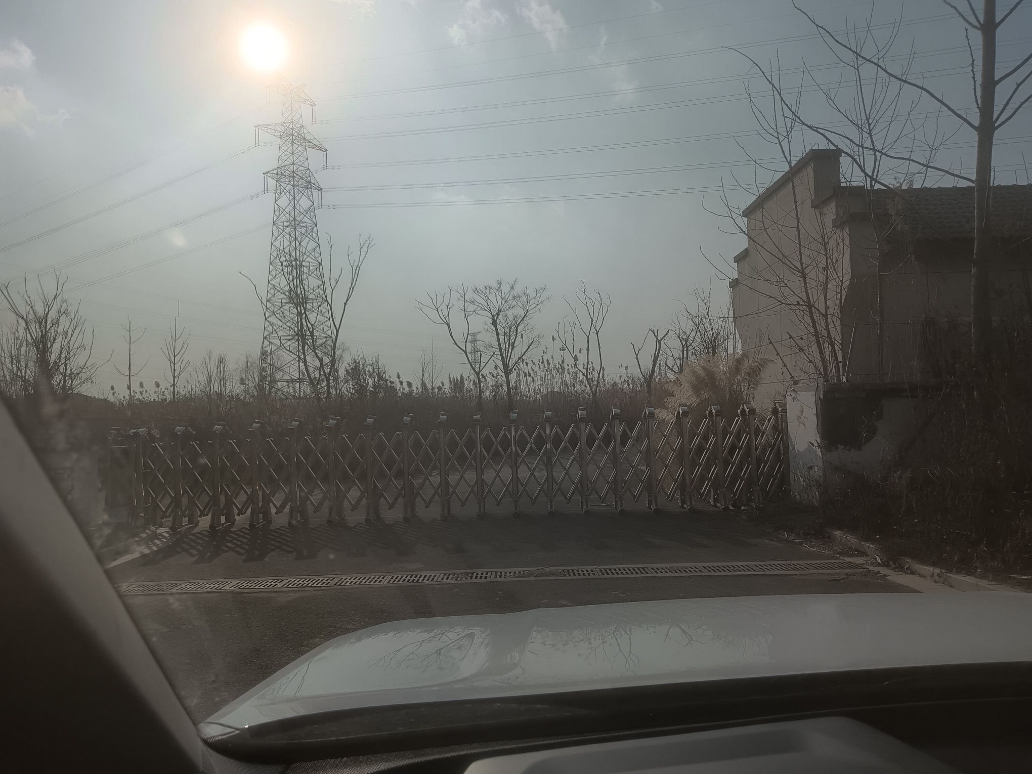 南湾湿地公园旅行图片 2