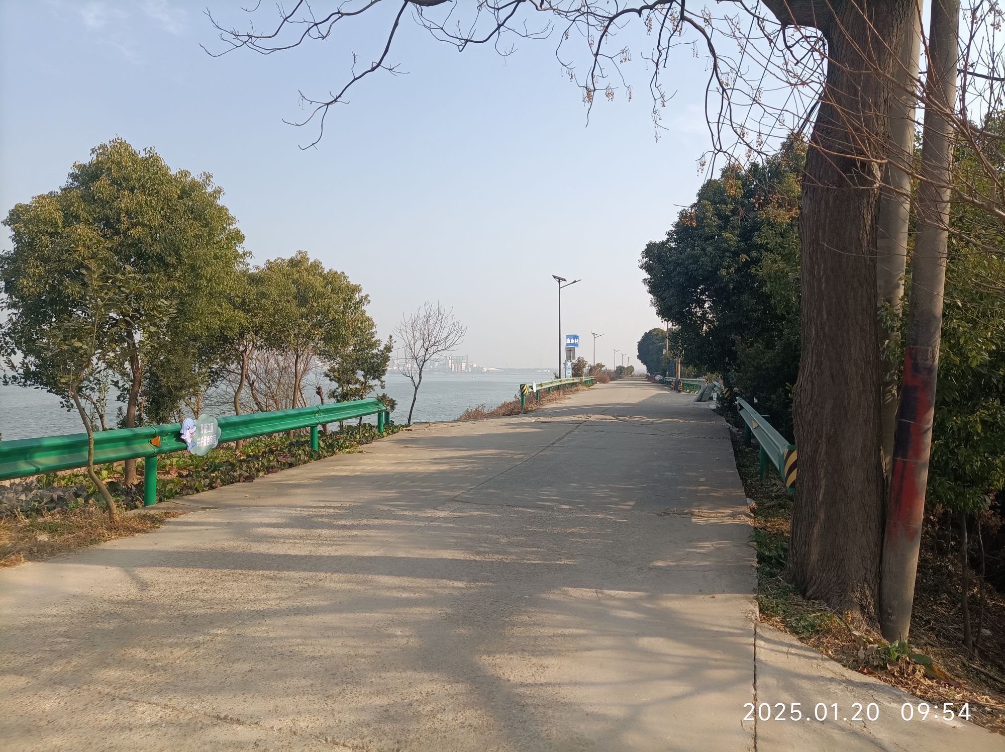 江豚观景台旅行图片 3
