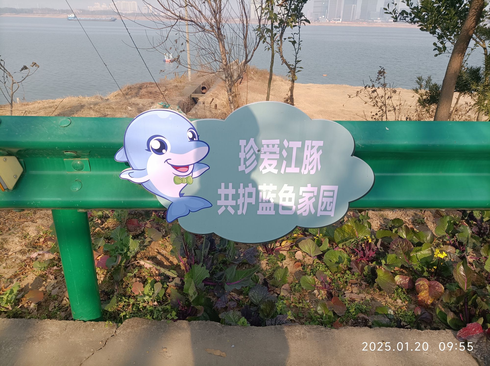 江豚观景台旅行图片 2