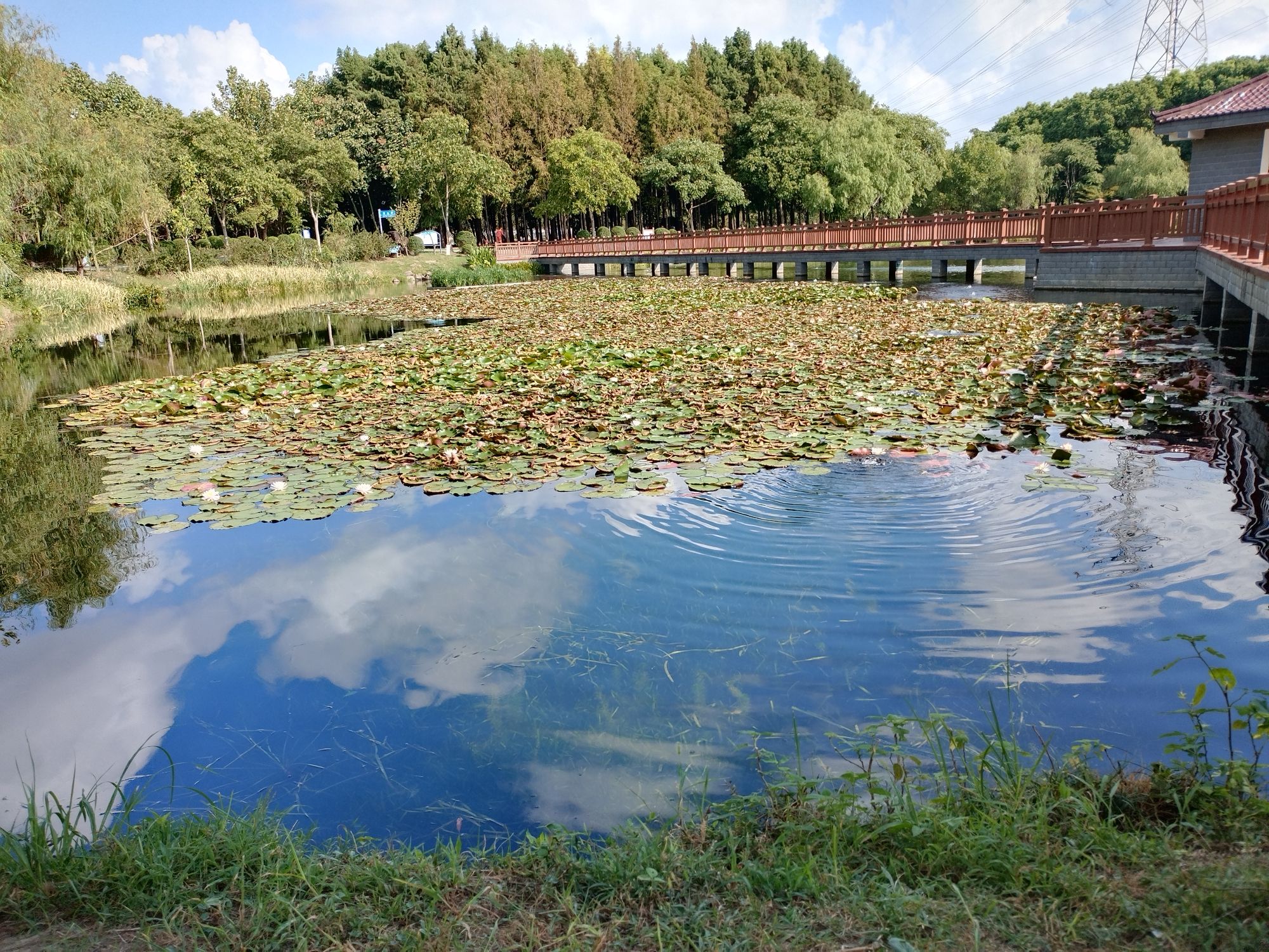 南北厅旅行图片