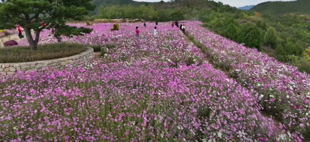 花艺谷旅行图片 2