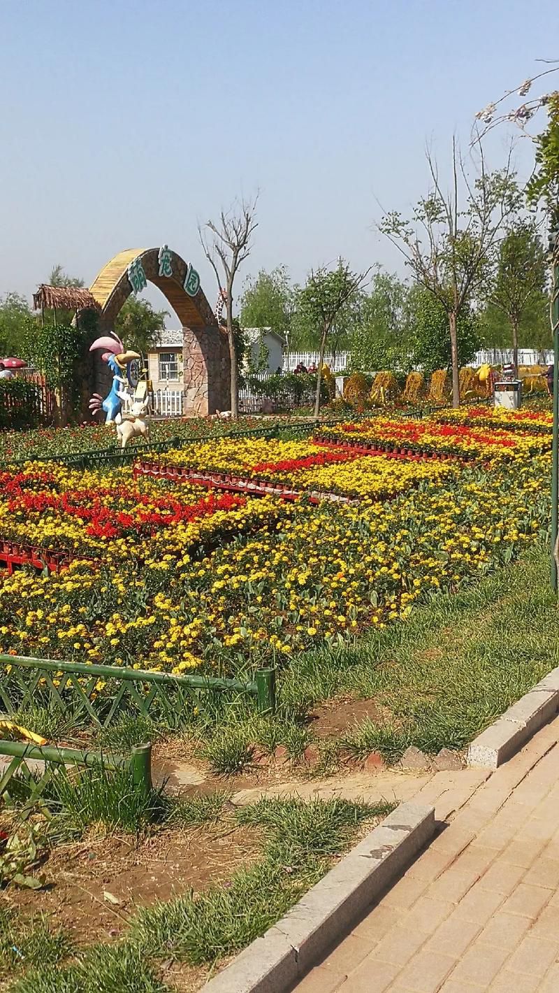 花艺谷旅行图片 3