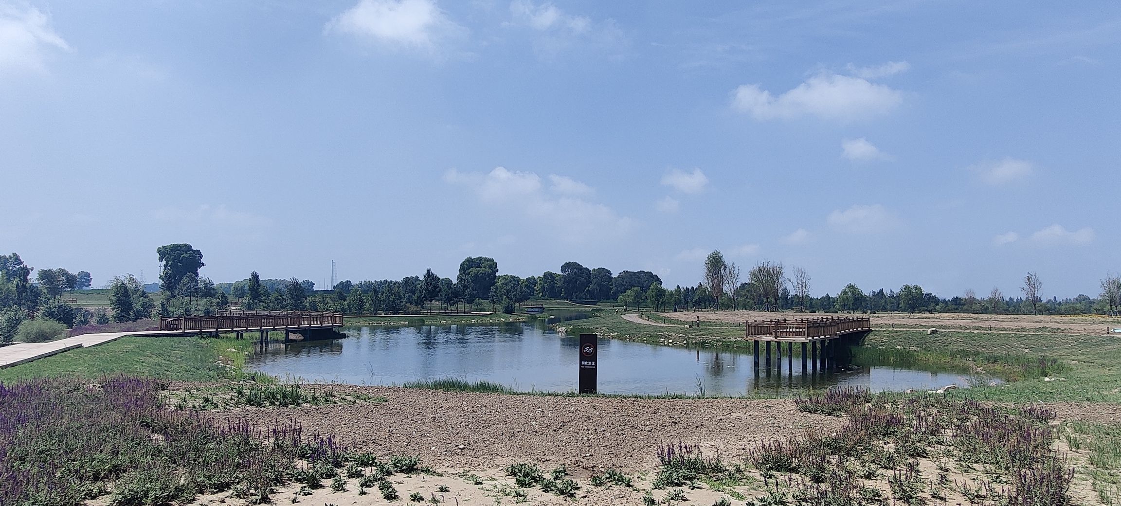 八拜湖湿地公园旅行图片 1