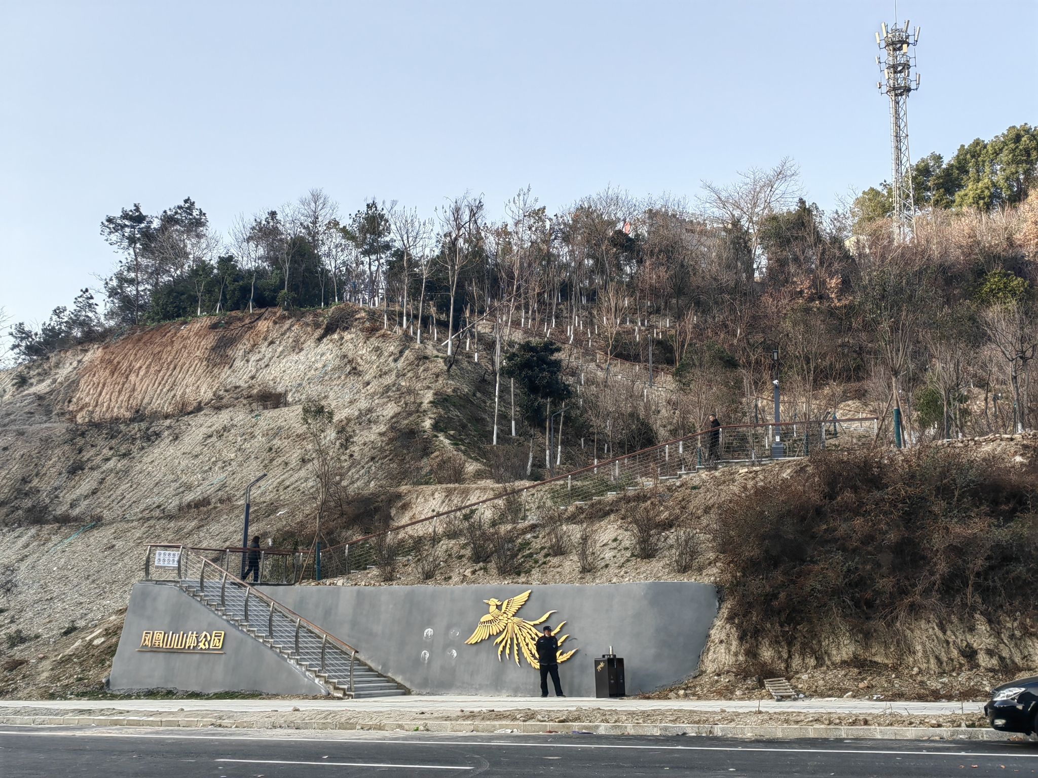 凤凰山公园旅行图片 3