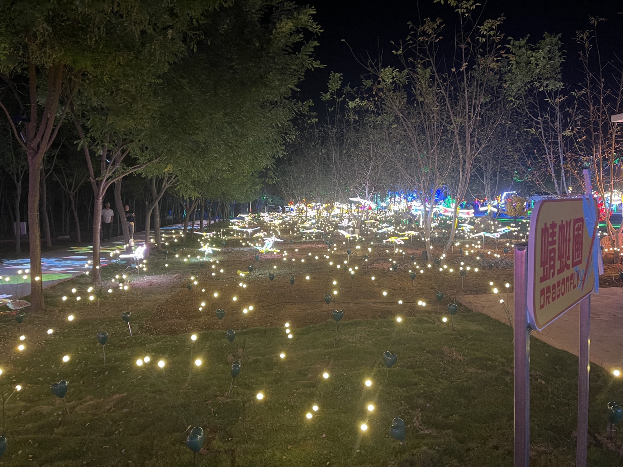 燕语江南不夜城旅行图片 1