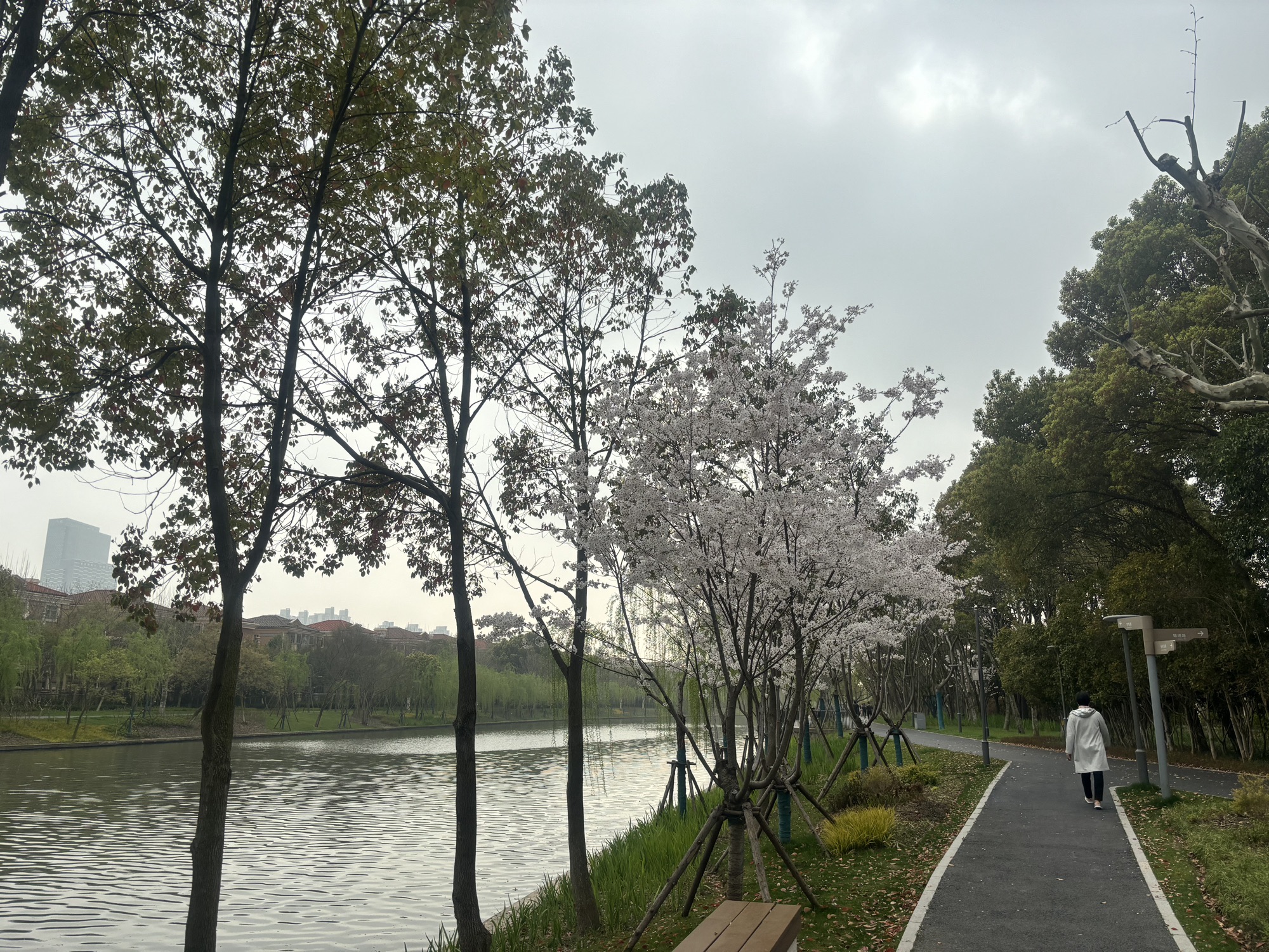 陆家嘴水环旅行图片 3