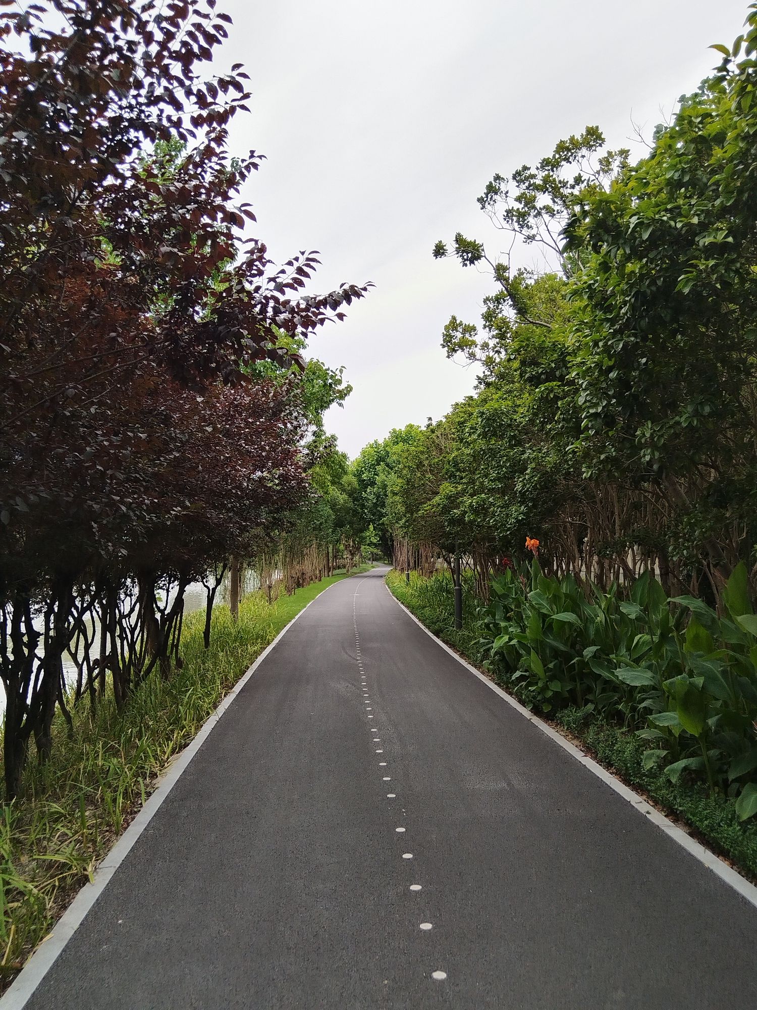 陆家嘴水环旅行图片 2