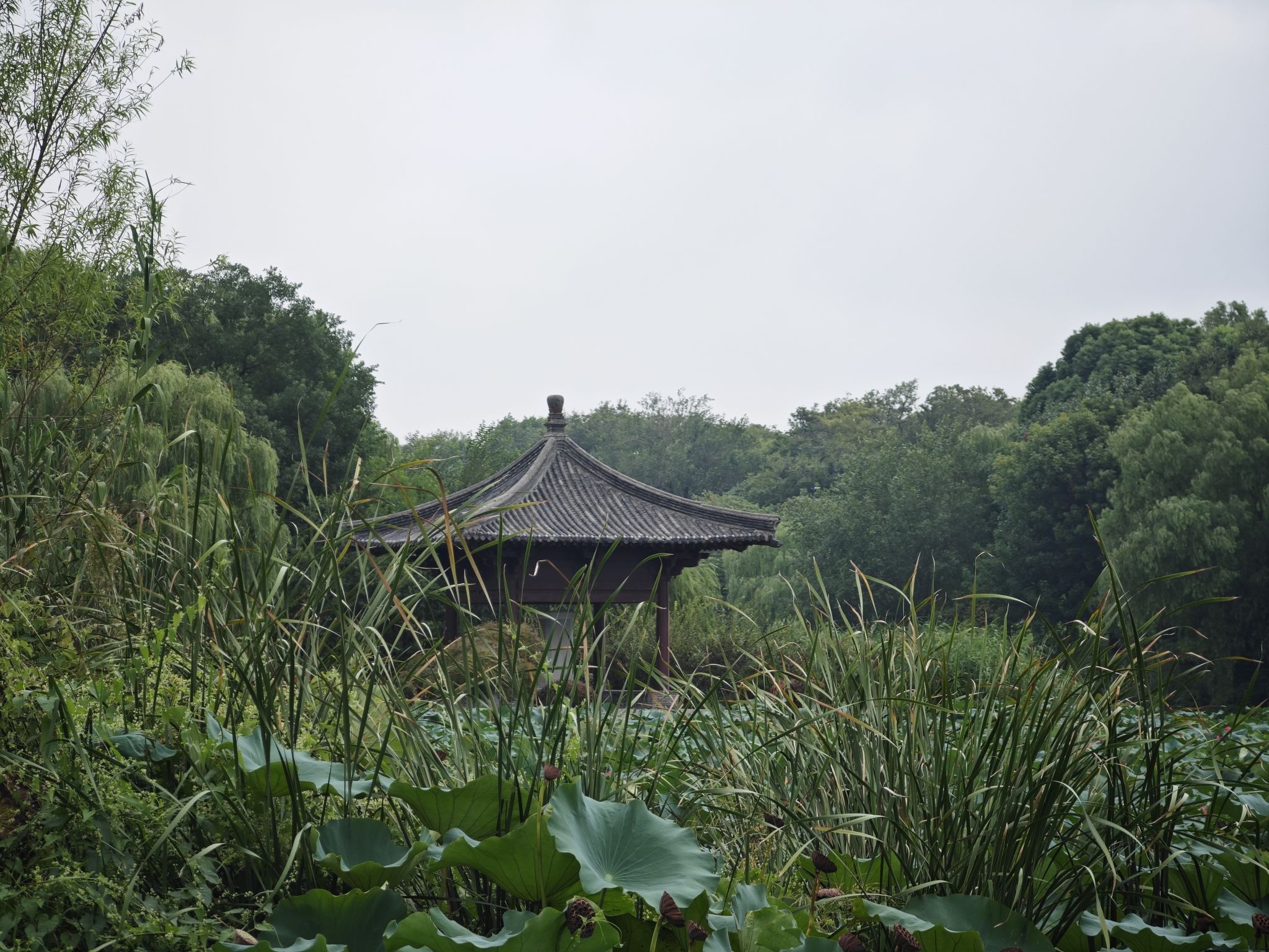 四方亭旅行图片 1