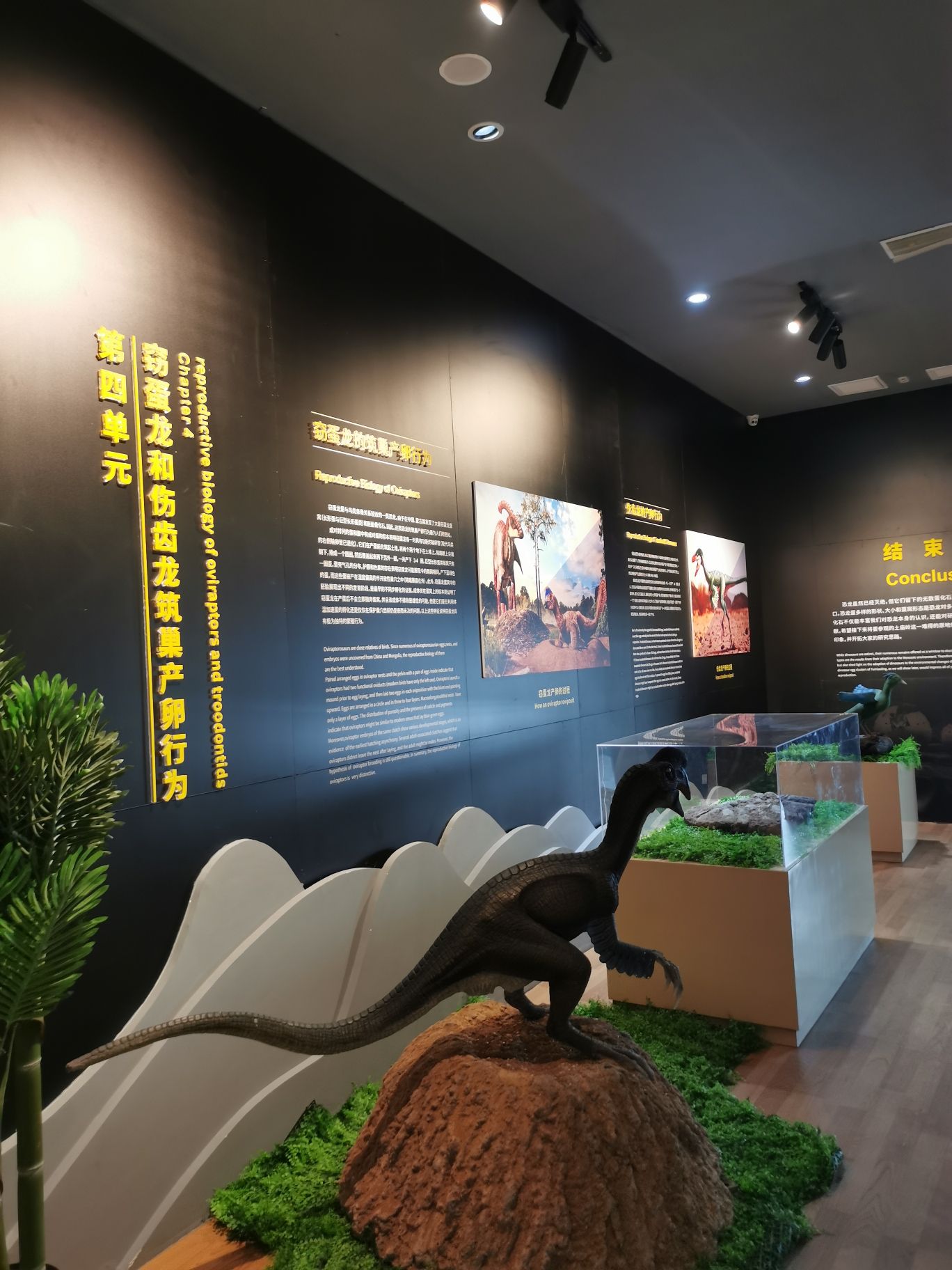 湖北郧阳恐龙蛋化石遗址公园旅行图片 2