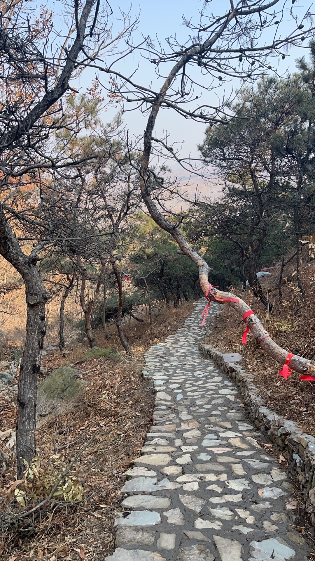 屋楼圣境旅行图片 1