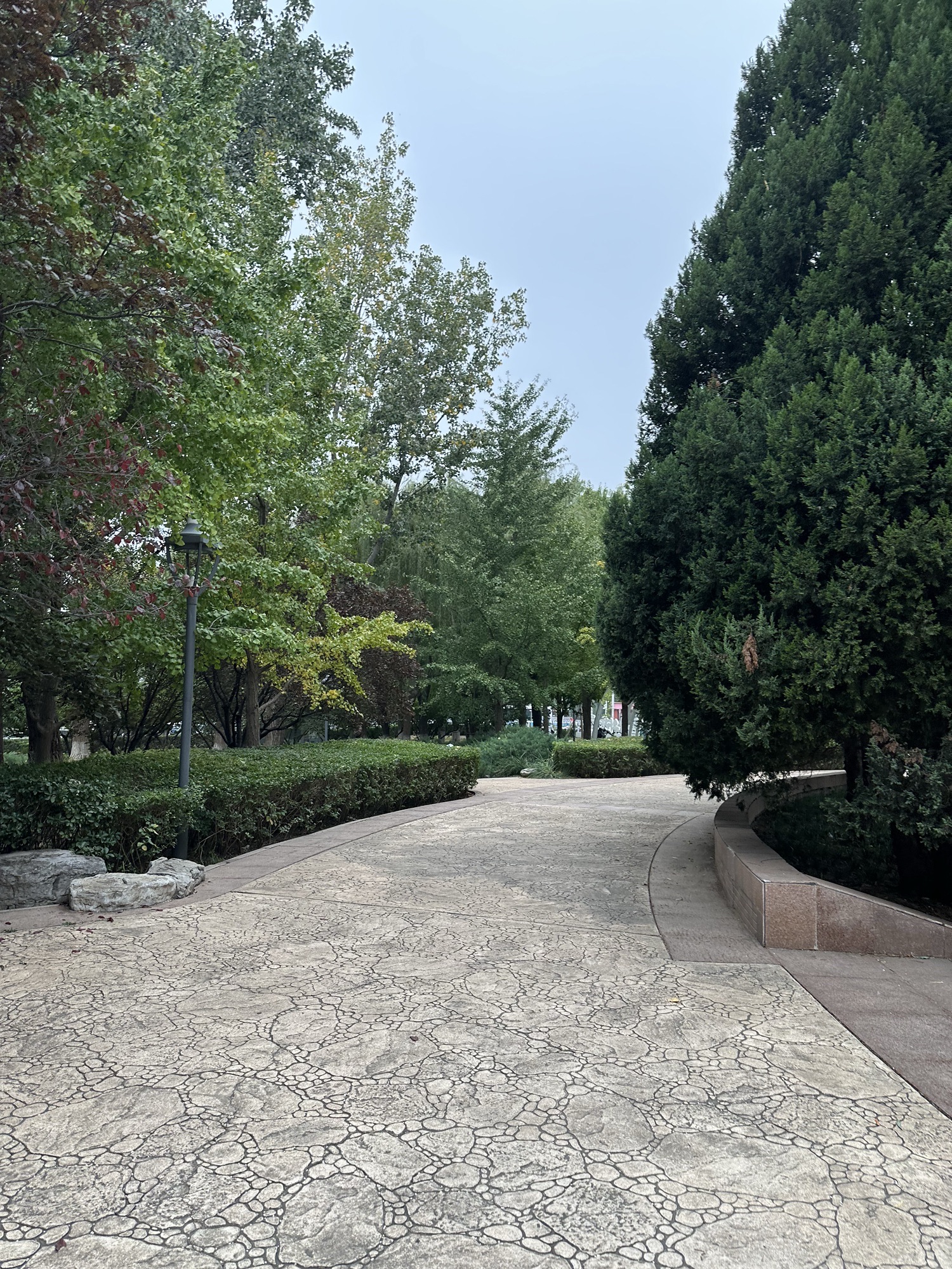 东城国际人才公园旅行图片 1