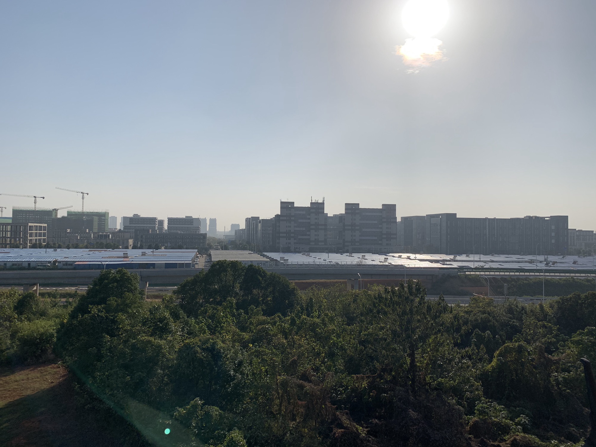杨家湖公园旅行图片 2