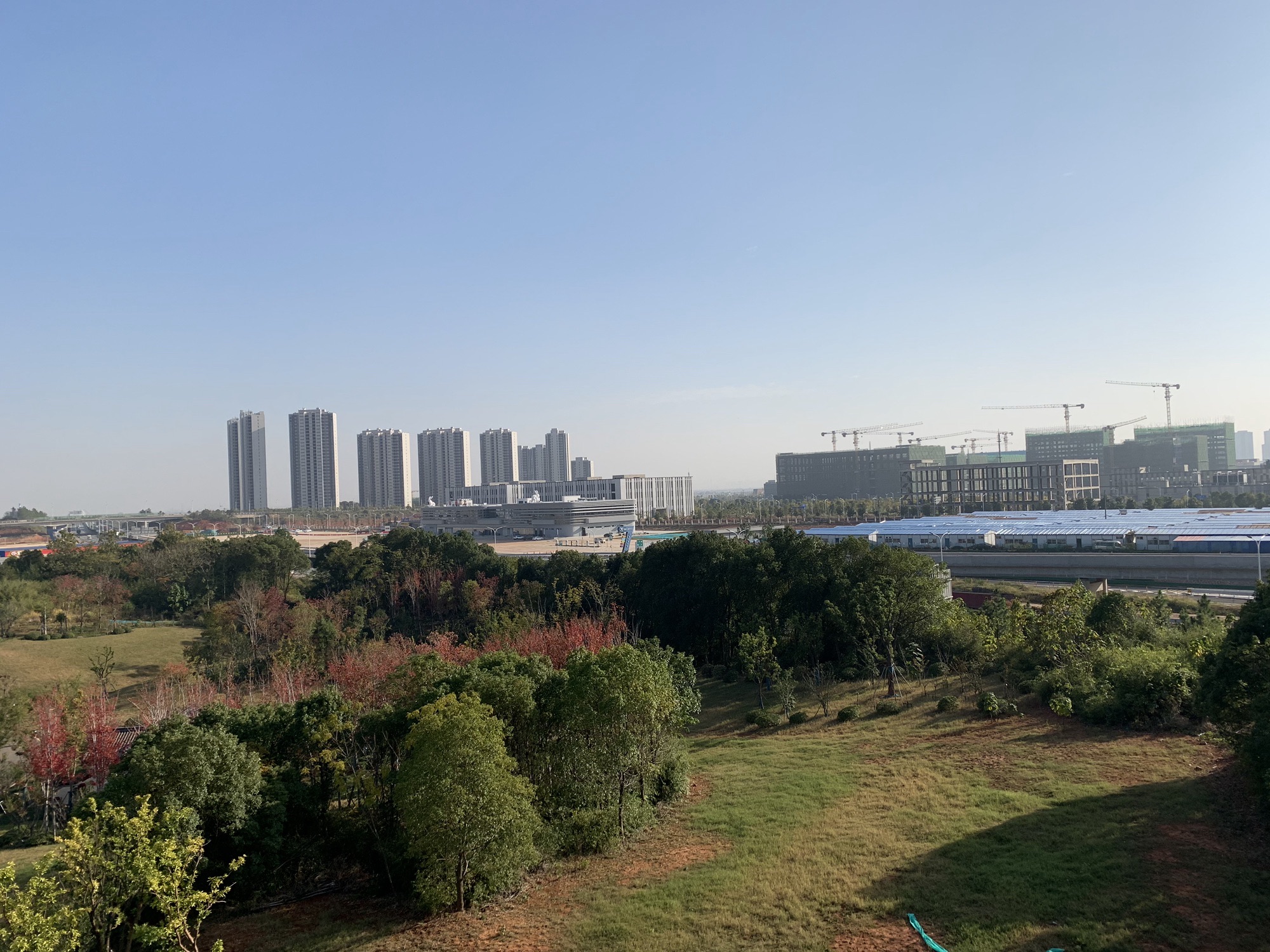 杨家湖公园旅行图片 3