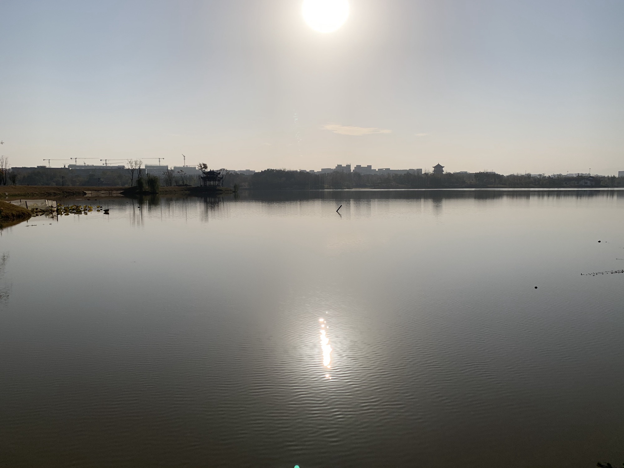 杨家湖公园旅行图片 1