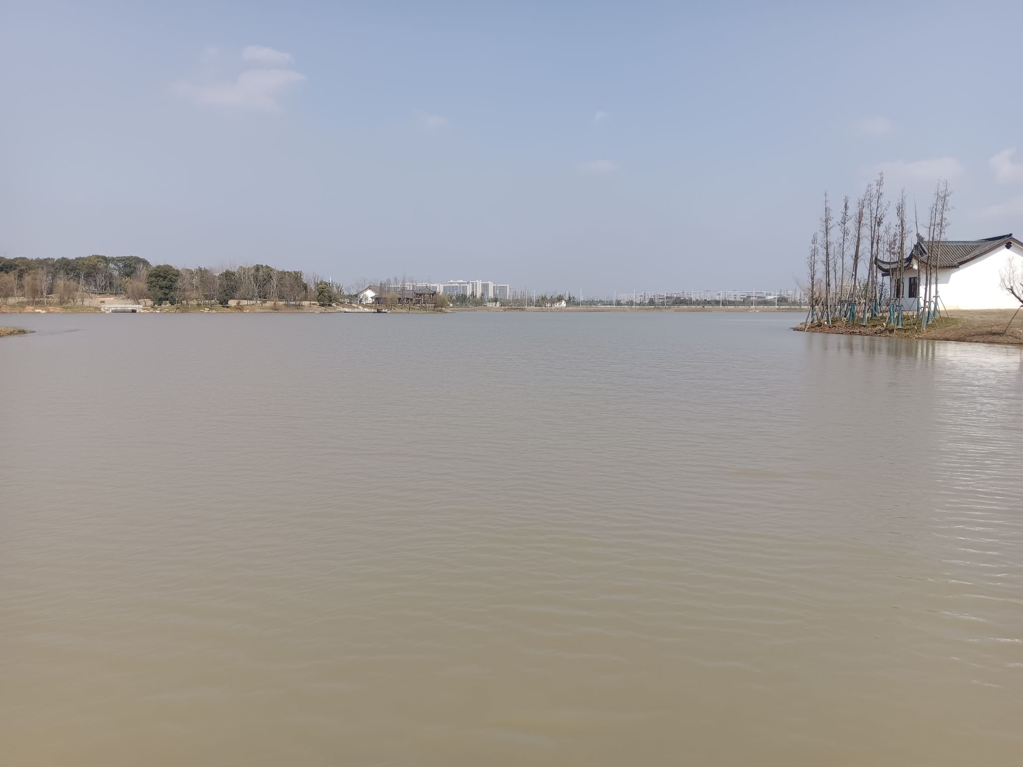 杨家湖公园旅行图片
