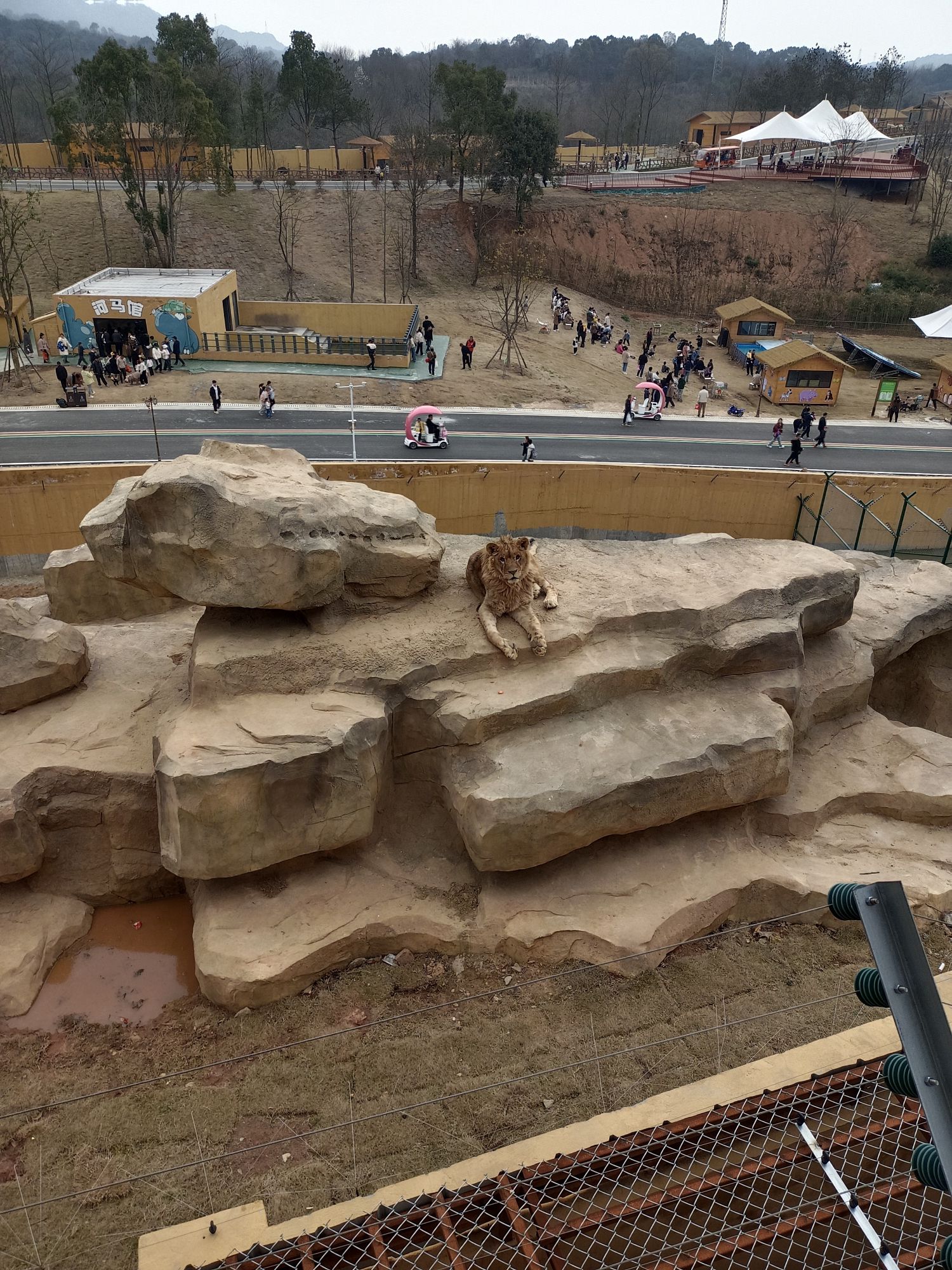九江野生动物世界旅行图片 2