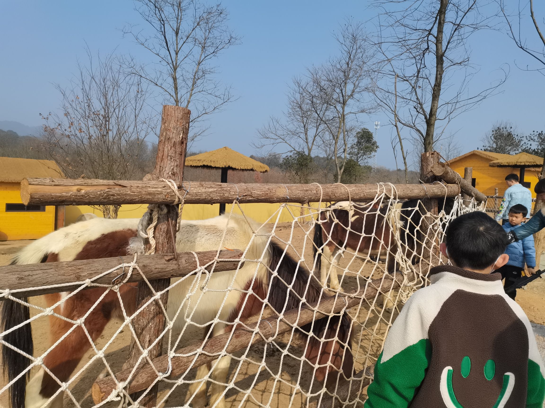 九江野生动物世界旅行图片 2