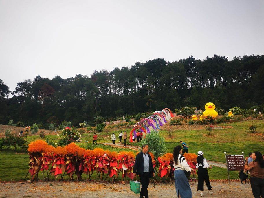 花汐湾景区旅行图片 3