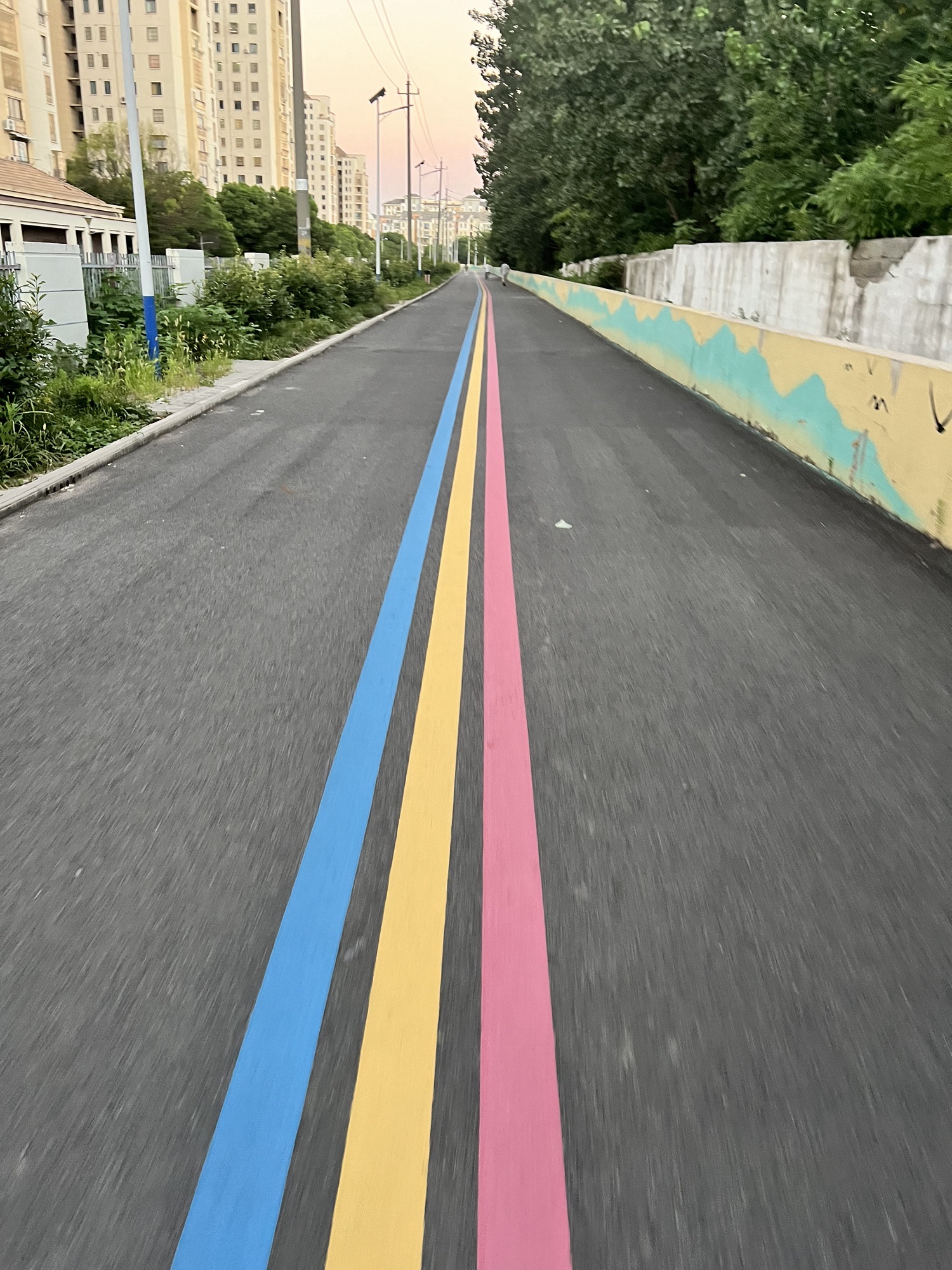 揽江园旅行图片 2