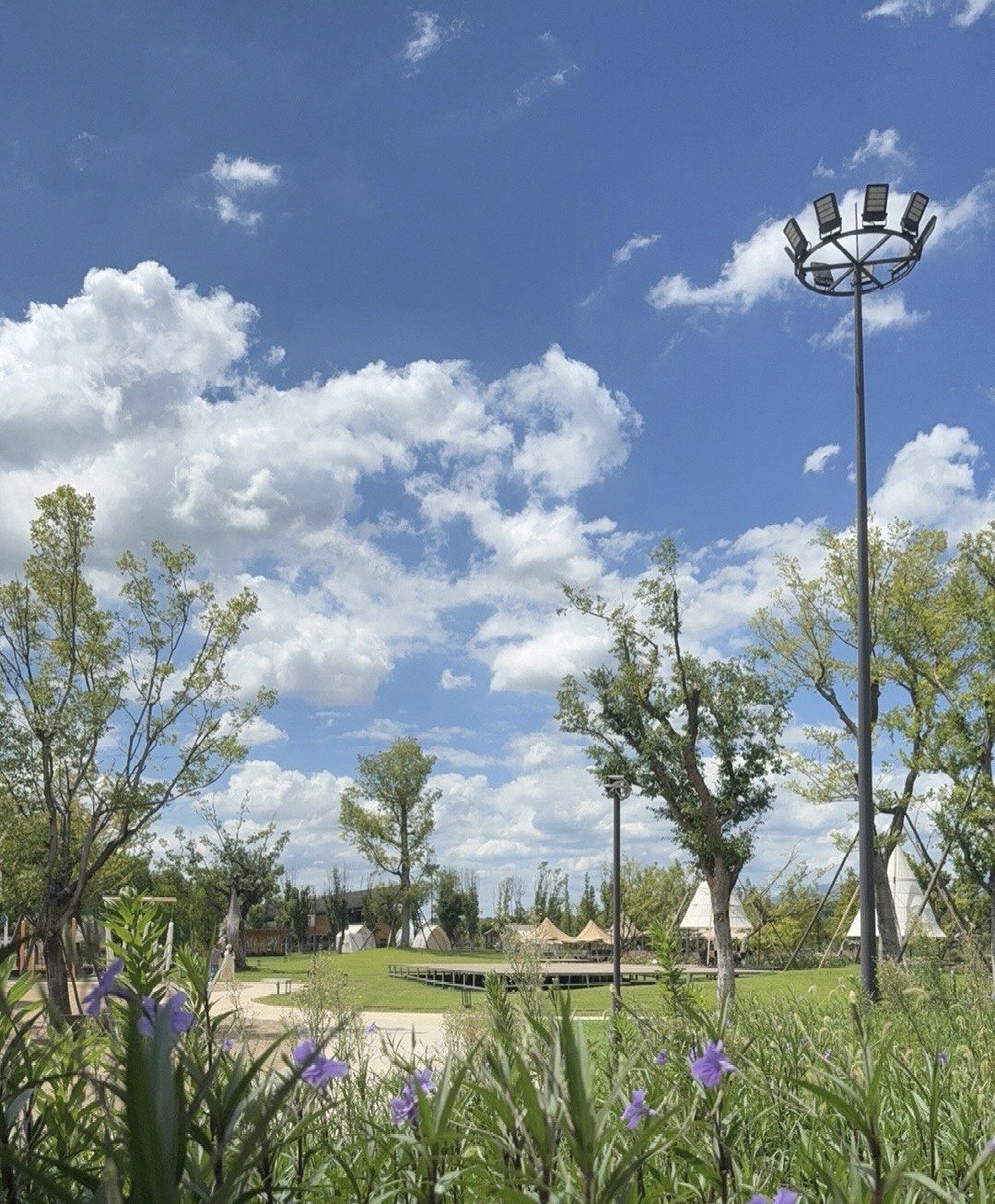 白鹭营地Blue Camp
