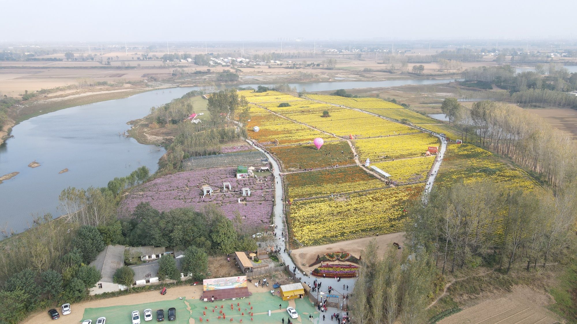 天边花海旅行图片 3