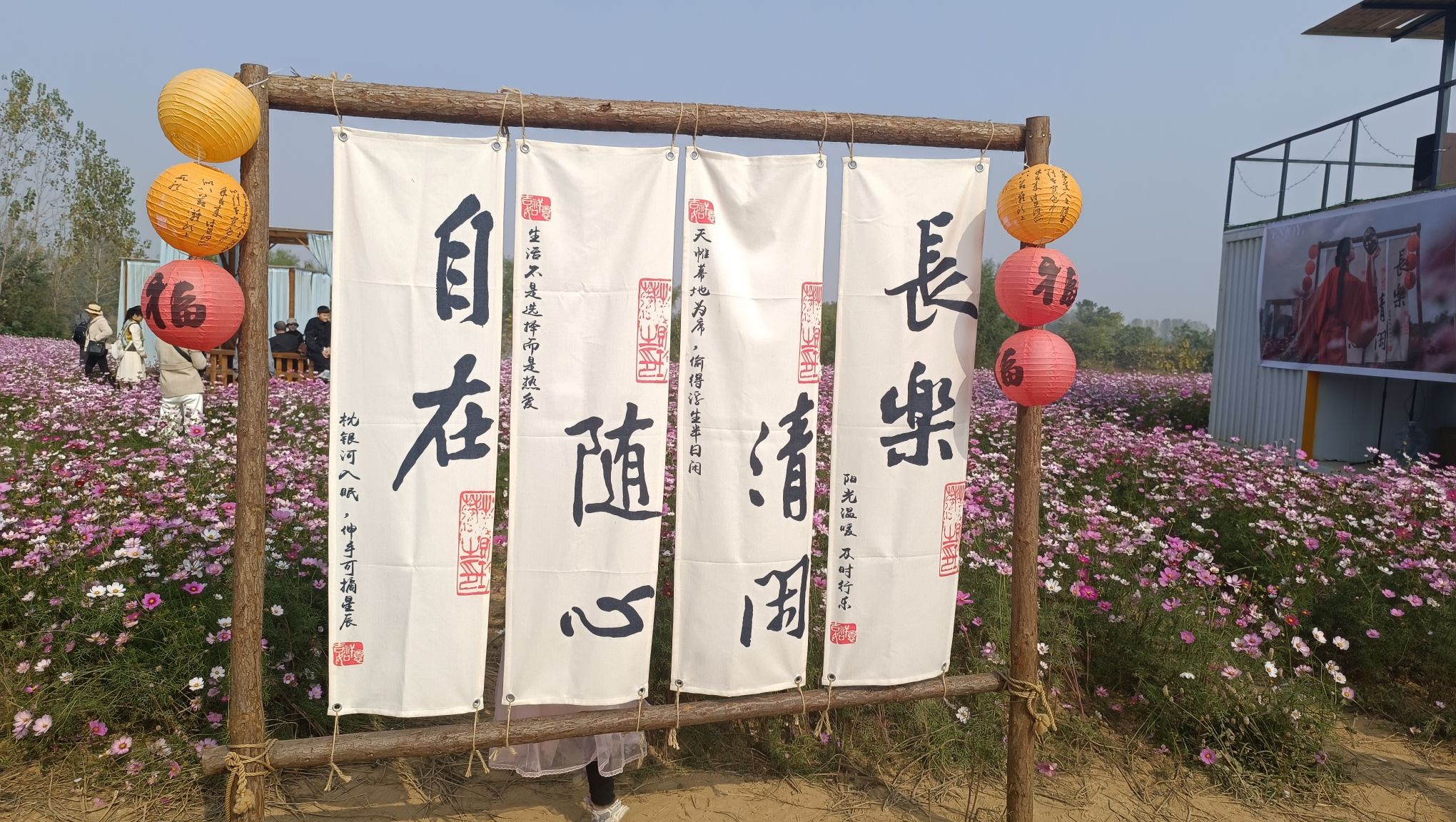 天边花海旅行图片 1