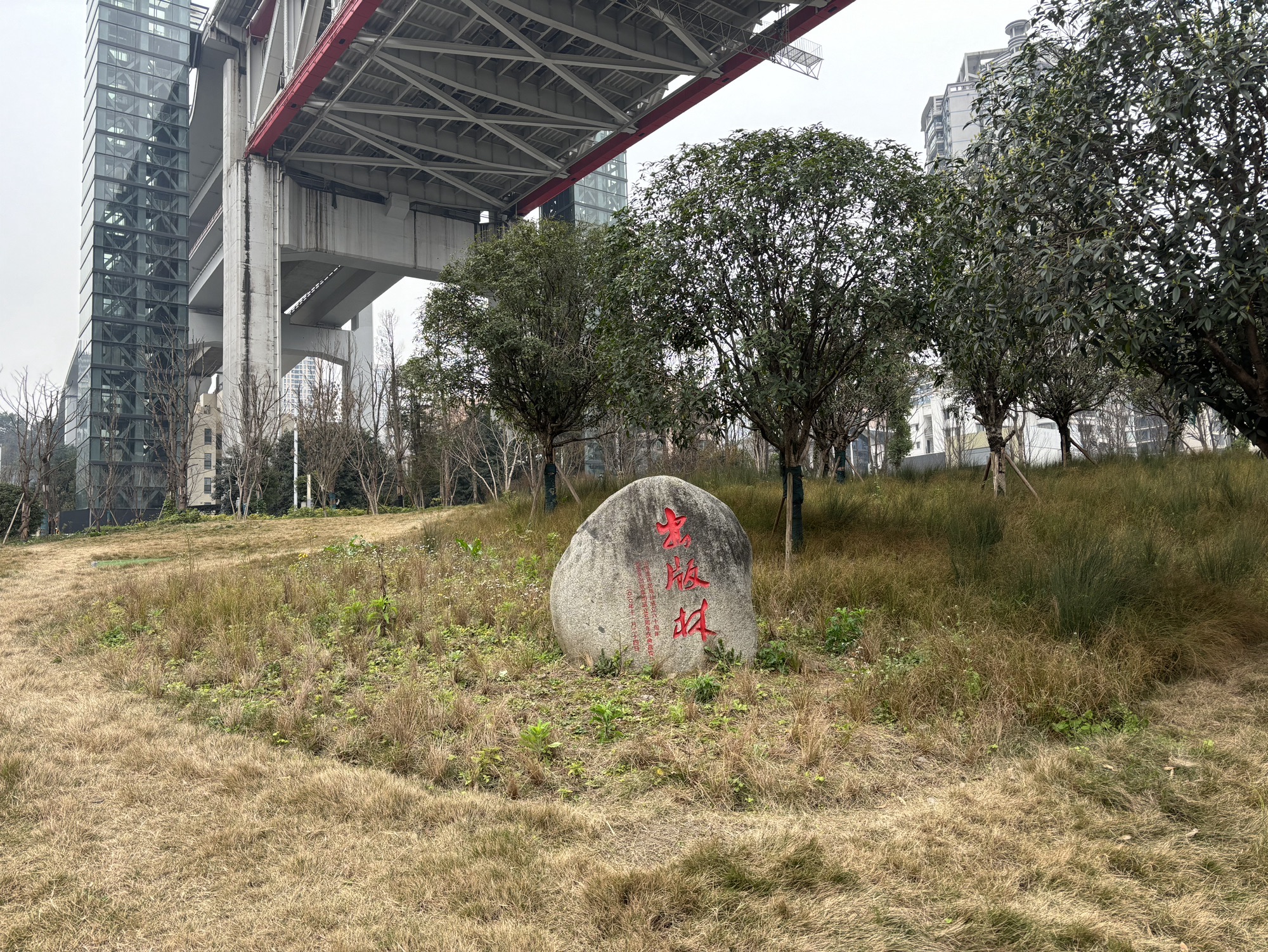 朝天门大桥公园旅行图片 2