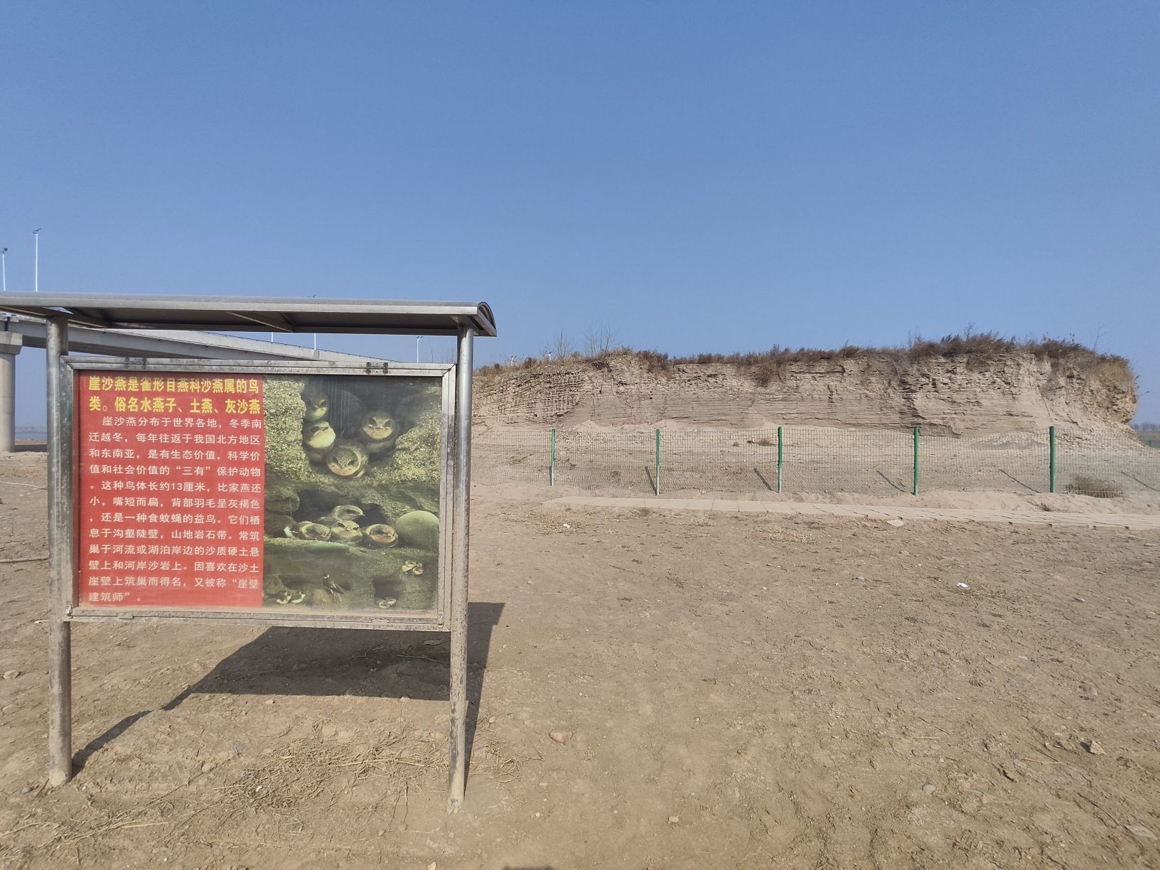 滹沱河崖沙燕窝保护区旅行图片 1