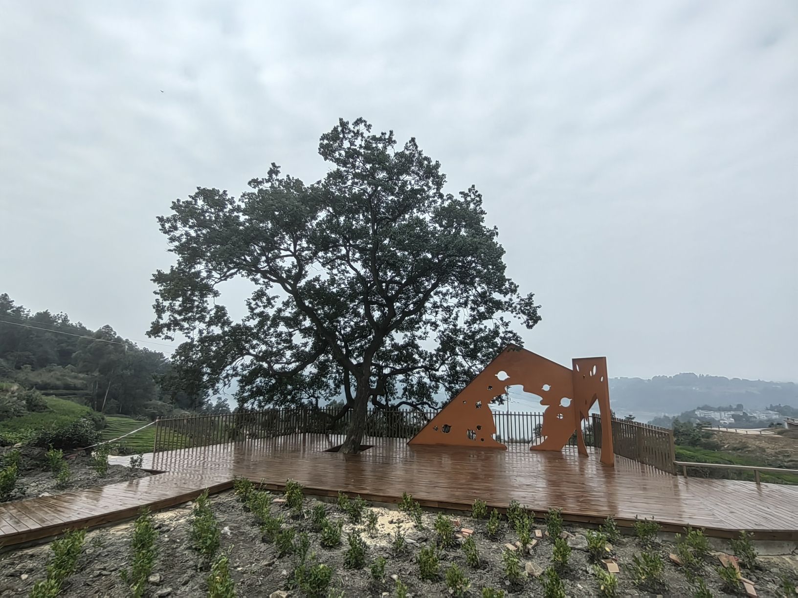 水韵茶乡旅行图片 1