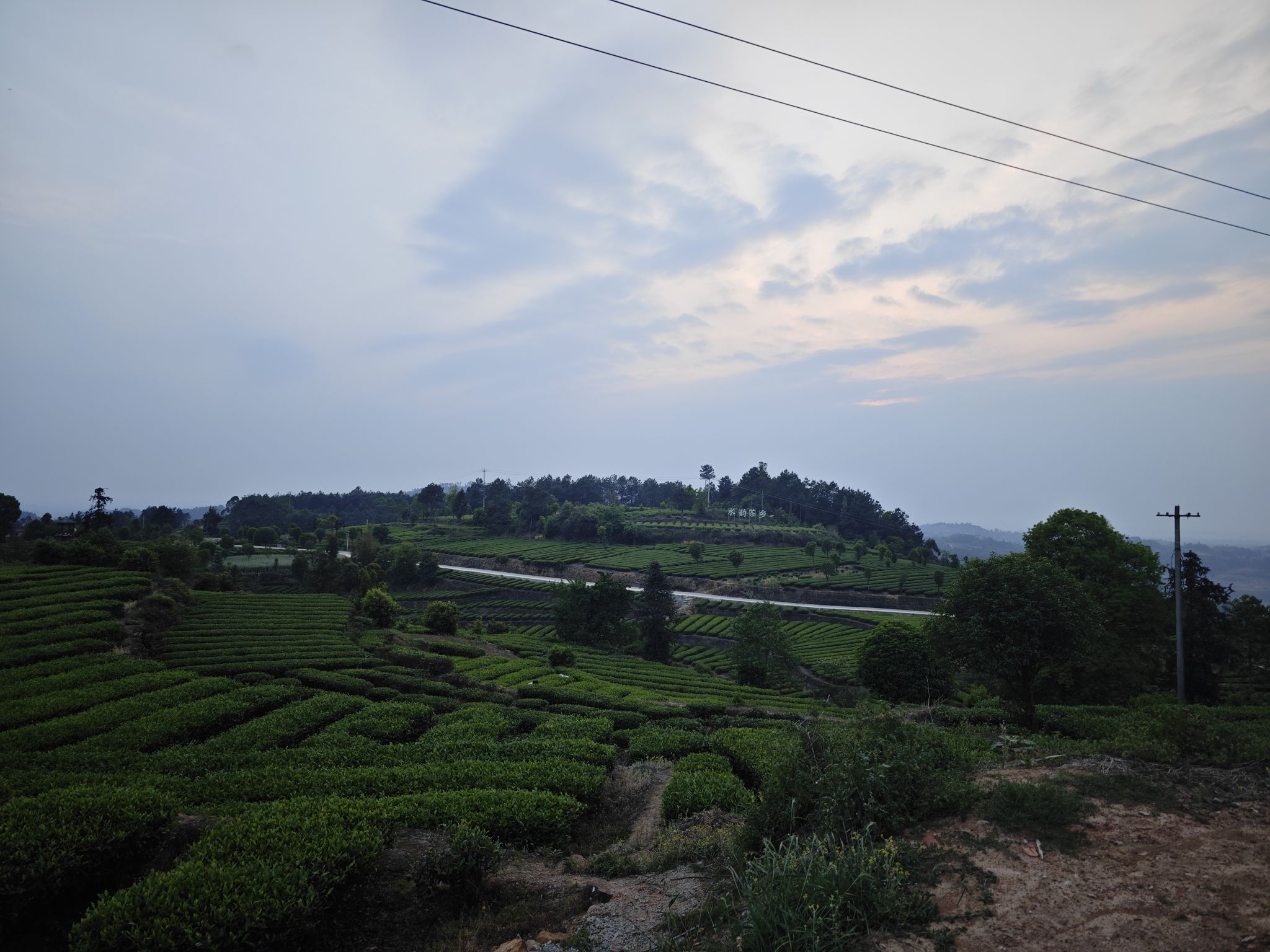 水韵茶乡旅行图片 3