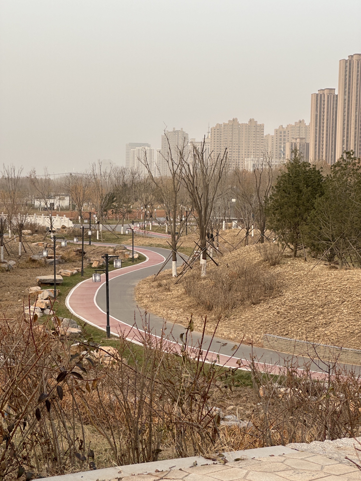 沧州植物园(二期)旅行图片 1