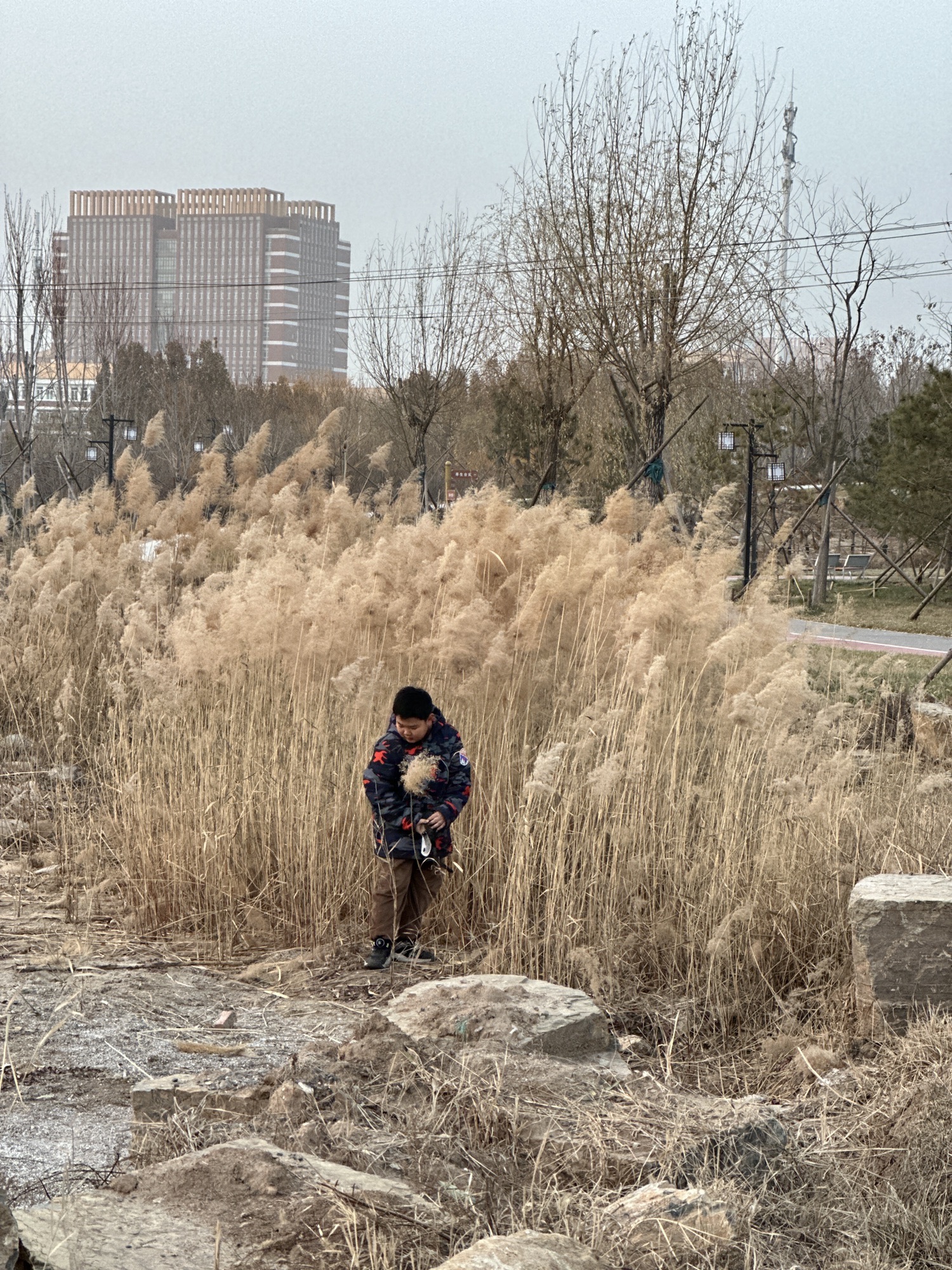 沧州植物园(二期)旅行图片 2